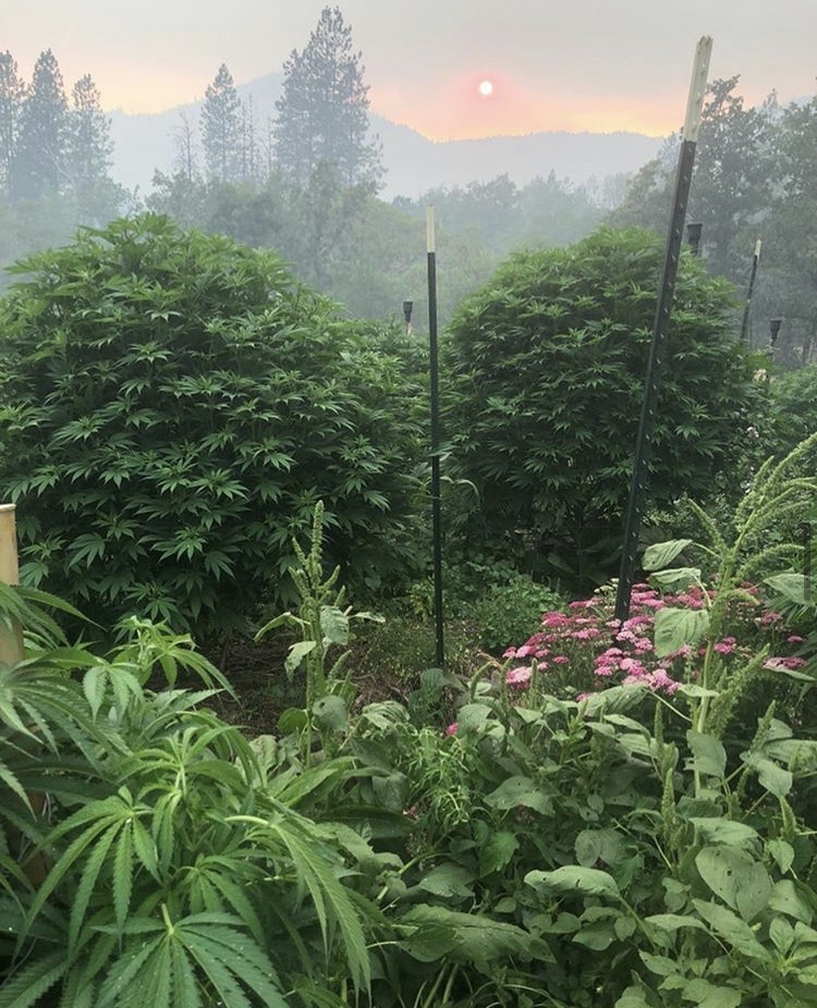 Farm