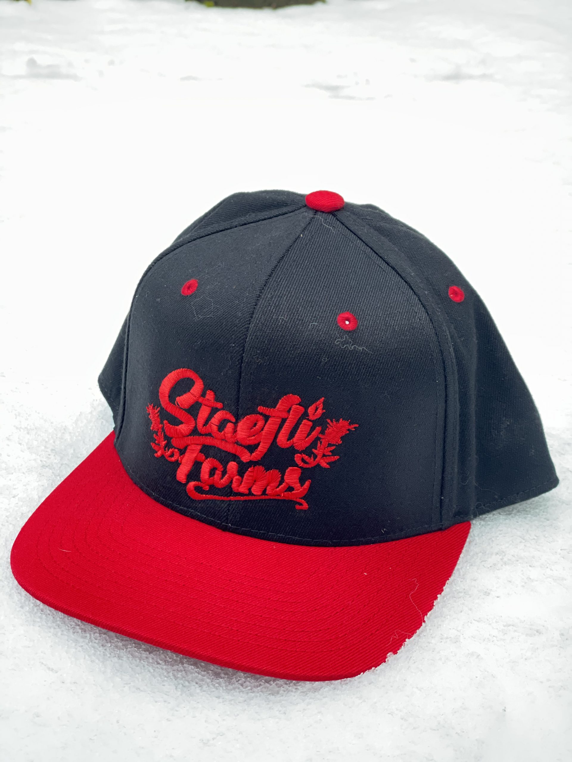 Black and Red SnapBack Hat