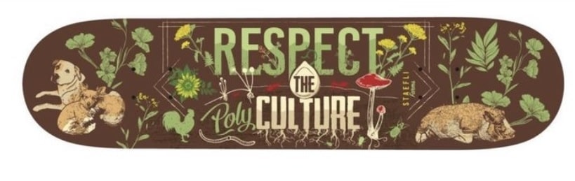 Skate Decks