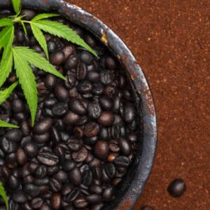 Elevating Your Harvest: Unleashing the Power of Organic Cannabis Seeds